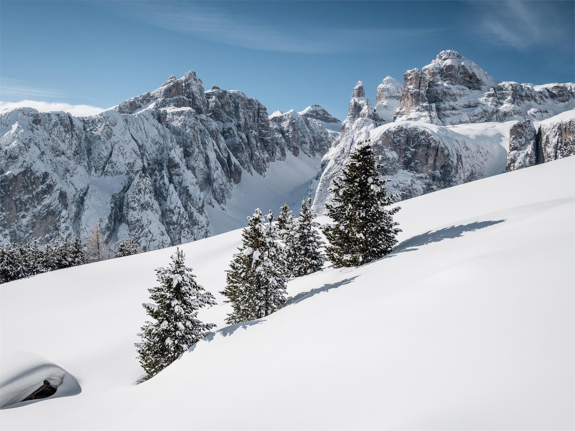 Fresh snow descent from Val Mezdí valley in the Sella group Corvara 1 suedtirol.info
