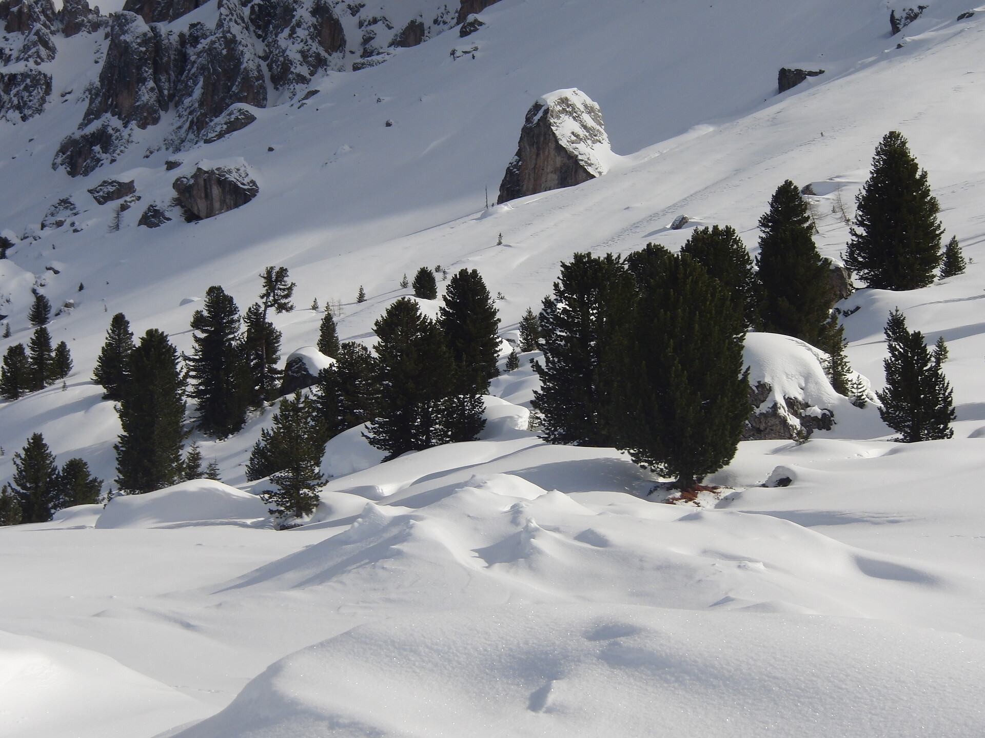 Summer hike: Vì - Open Air Museum - Göma San Martin /San Martino 8 suedtirol.info
