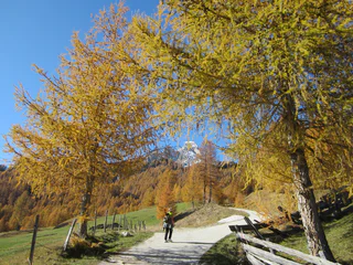 Sommerwanderung: Vì - Open Air Museum - Göma - San Martin - #6 - suedtirol.info