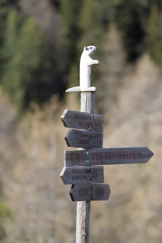 Sommerwanderung: Vì - Open Air Museum - Göma - San Martin - #4 - suedtirol.info