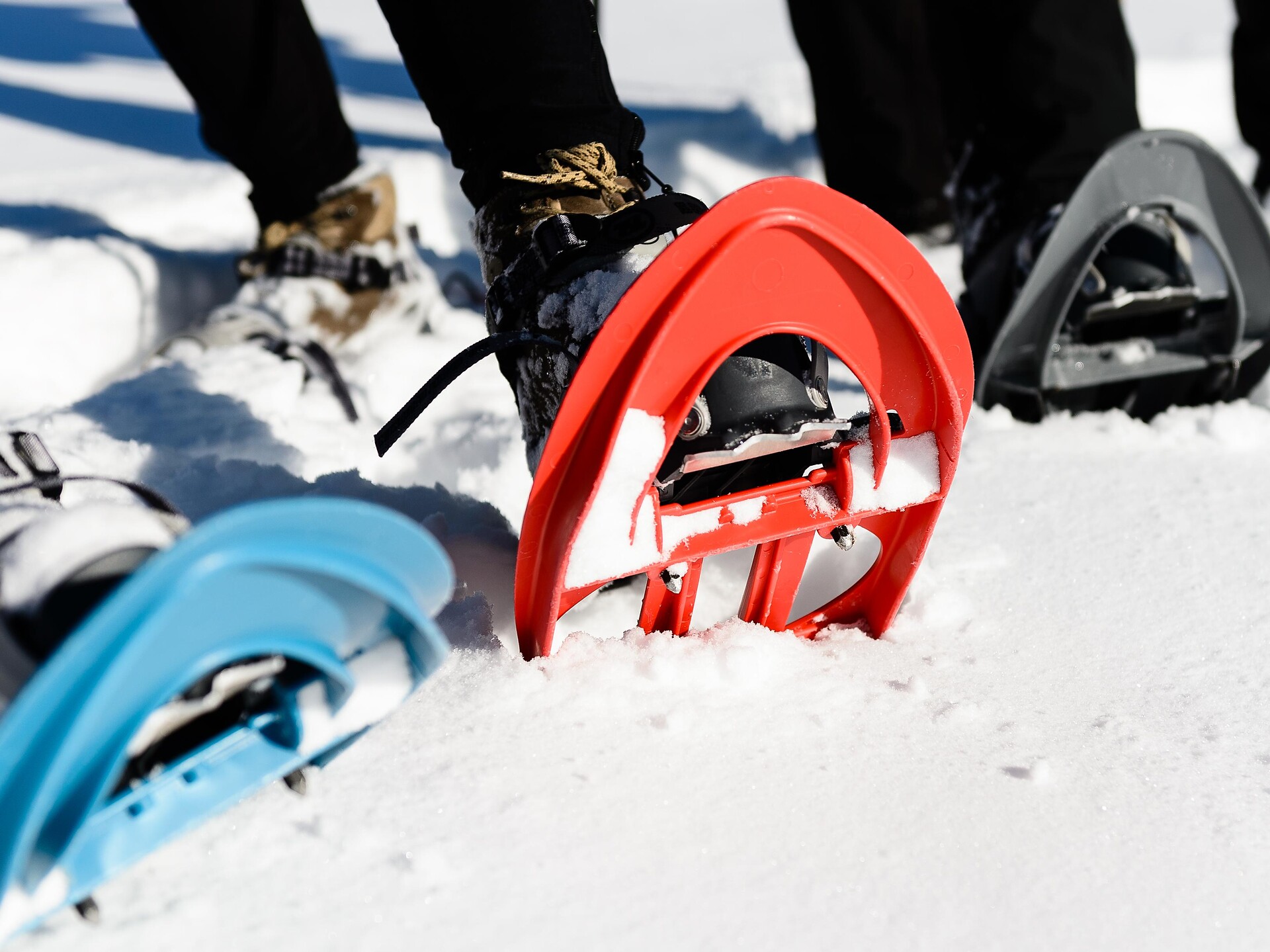 Schneeschuhwandern