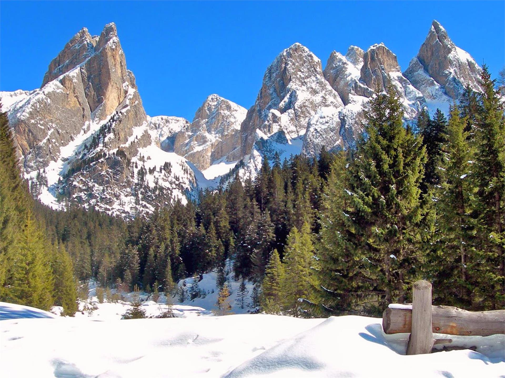 Schneeschuhwanderung durch das Tschamintal Tiers am Rosengarten 3 suedtirol.info