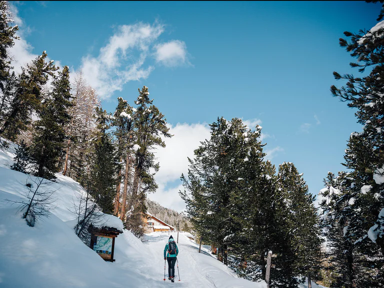 Snoweshoehike to the Malga Lyfi