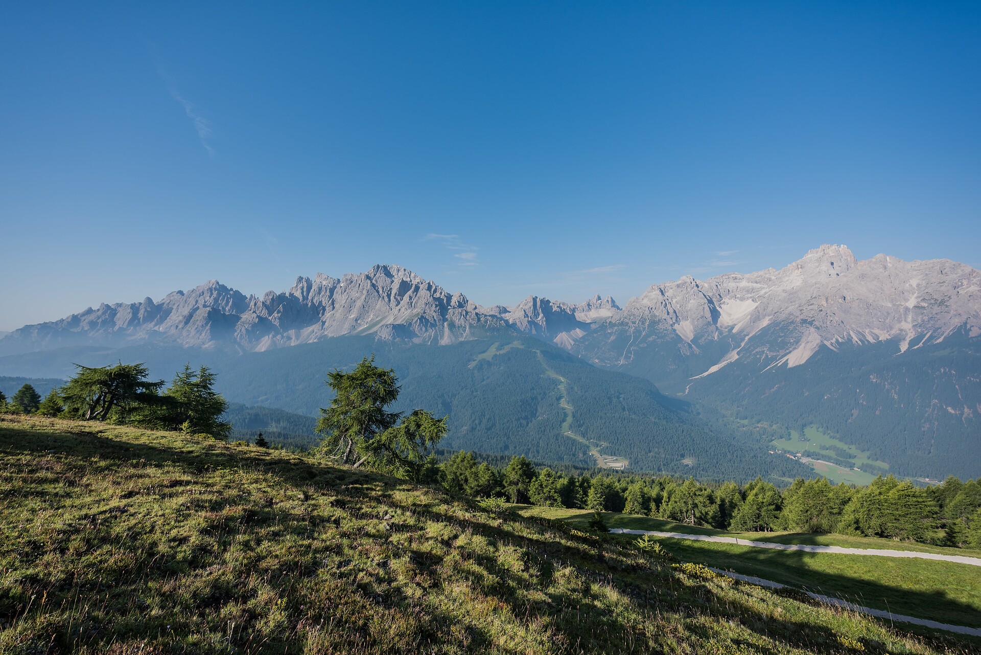Panorama