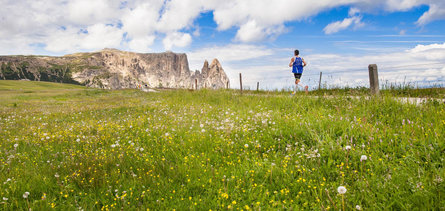 Percorso della Mezza Maratona dell'Alpe di Siusi Castelrotto 3 suedtirol.info