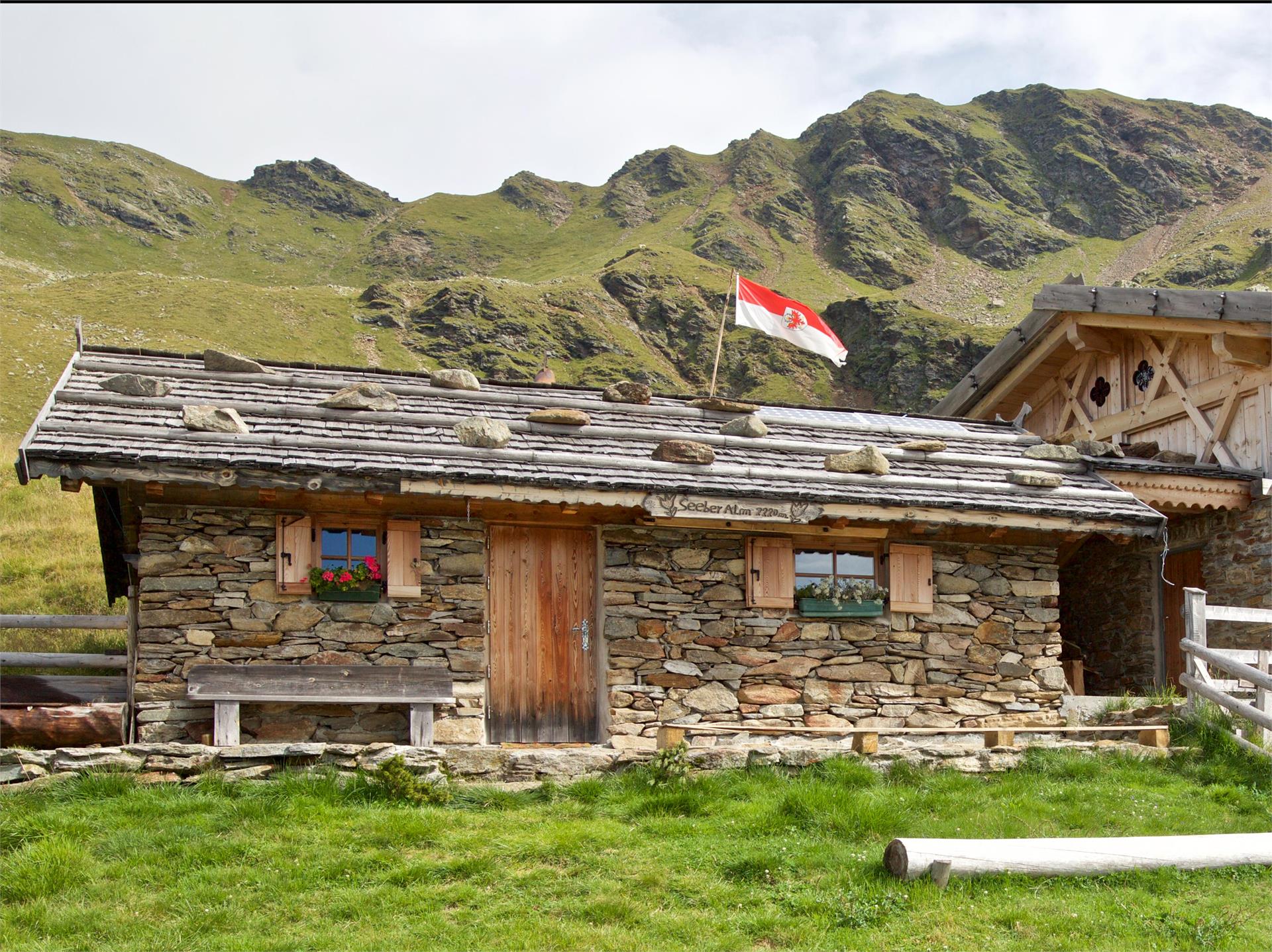 Cima Seeber  1 suedtirol.info