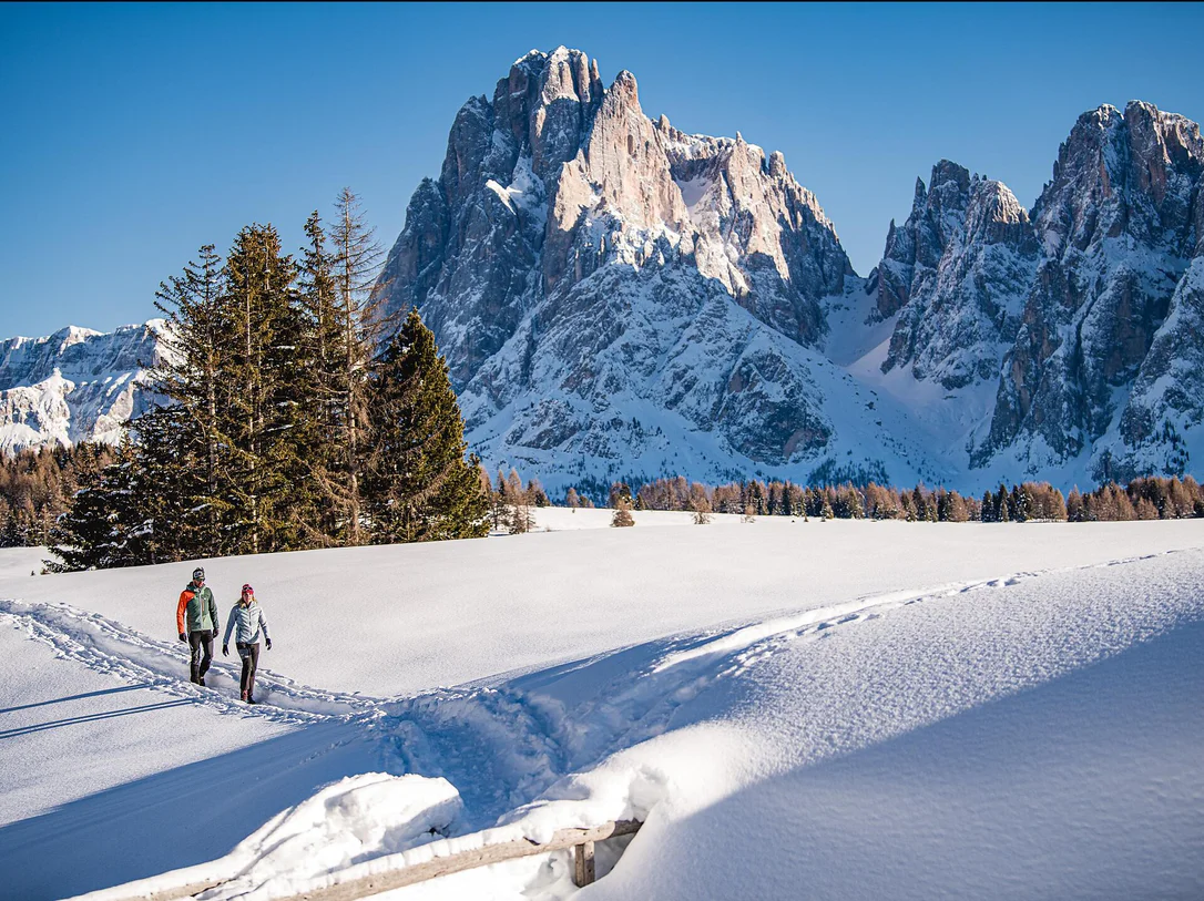 Saltria - Piz - Saltria