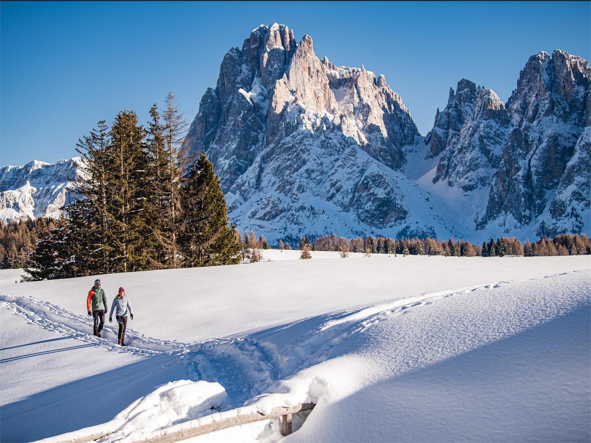 Saltria - Piz - Saltria Kastelruth/Castelrotto 1 suedtirol.info