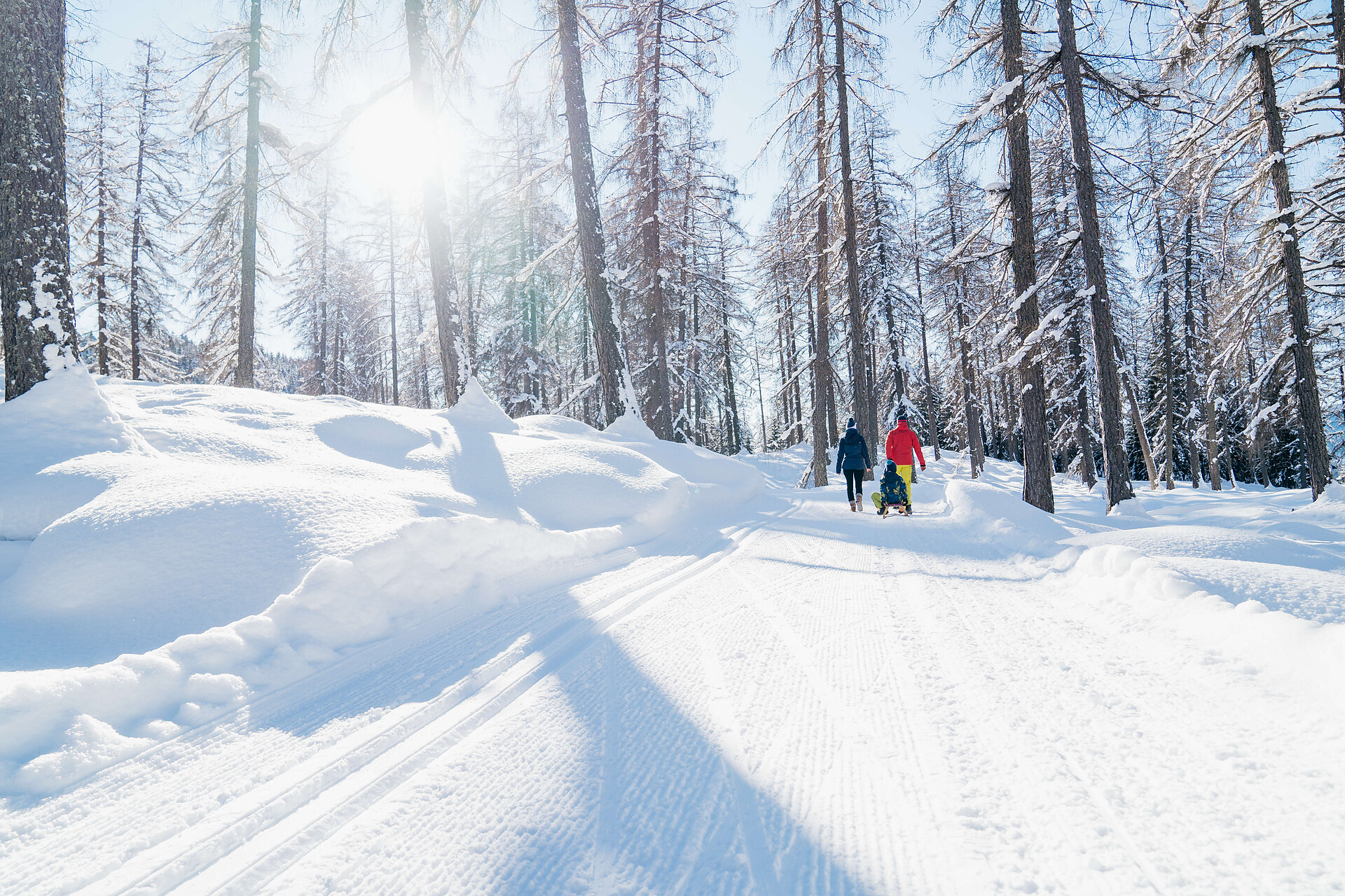 Percorso circolare del Monte Cislon -  - #1 - suedtirol.info