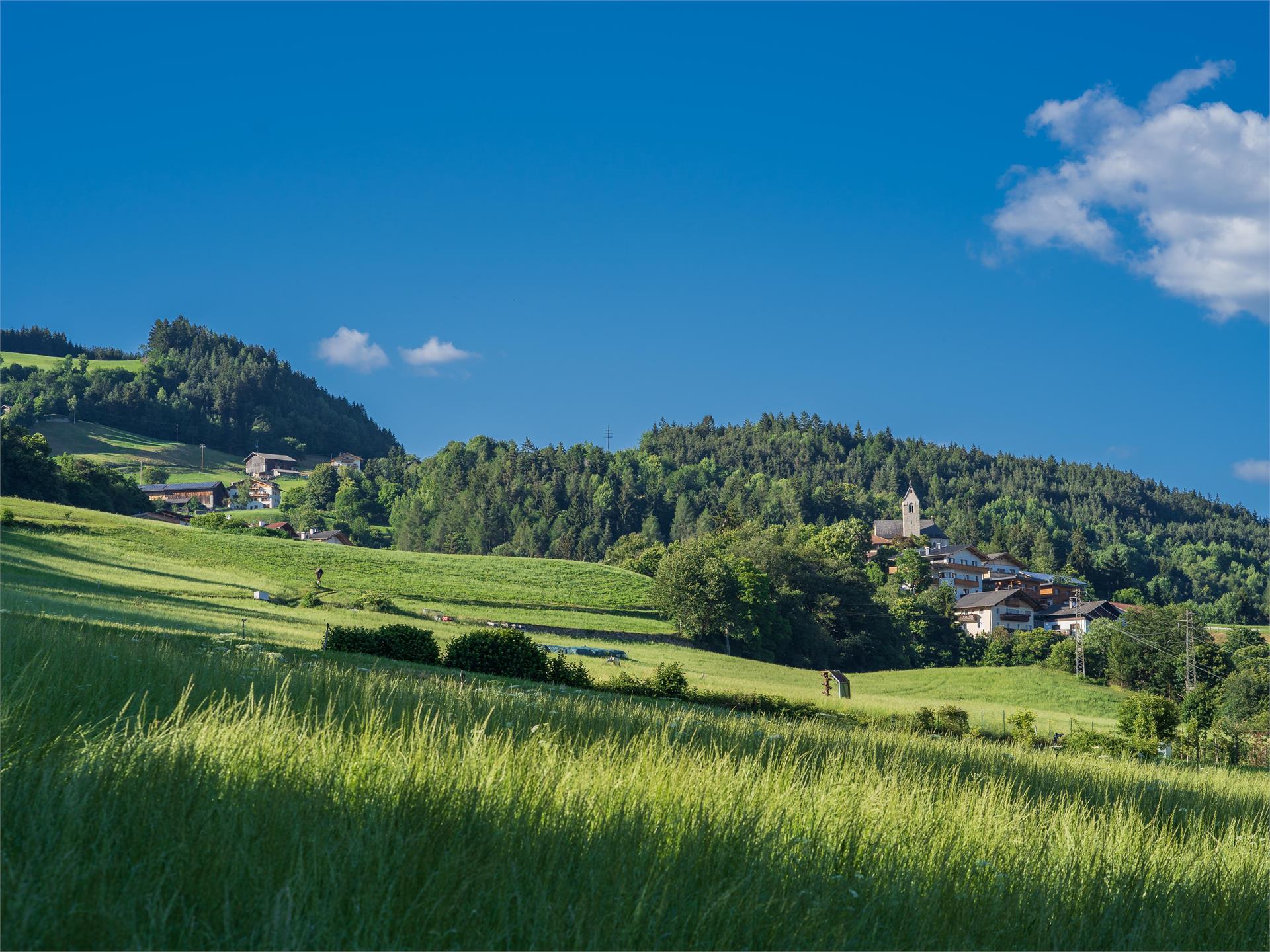 Sunday Path Feldthurns/Velturno 1 suedtirol.info