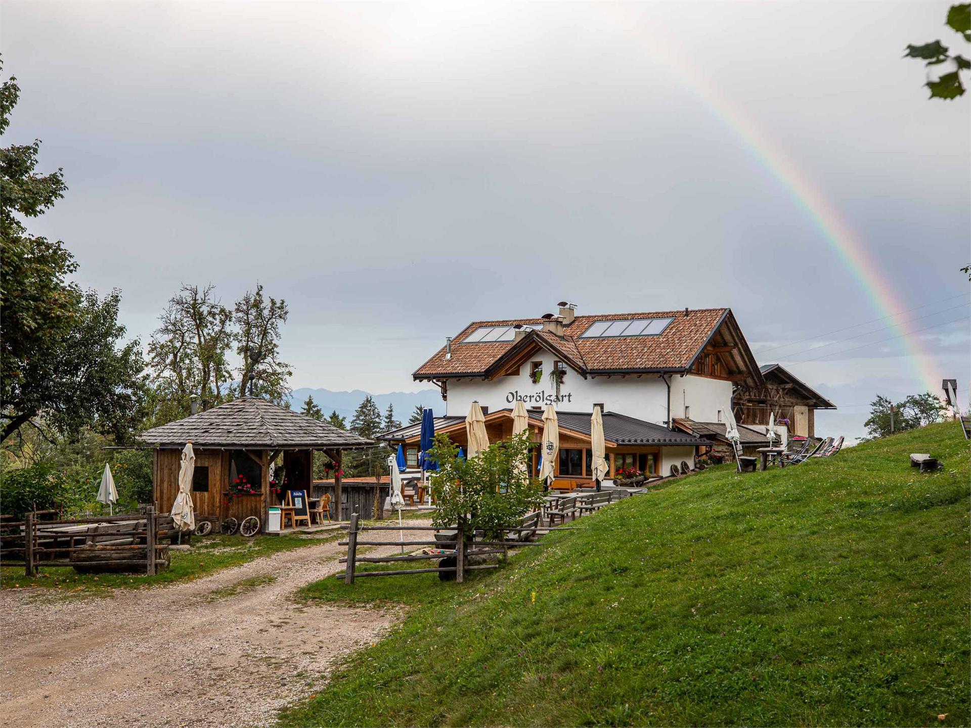 Steinegger Höhenweg Karneid 4 suedtirol.info