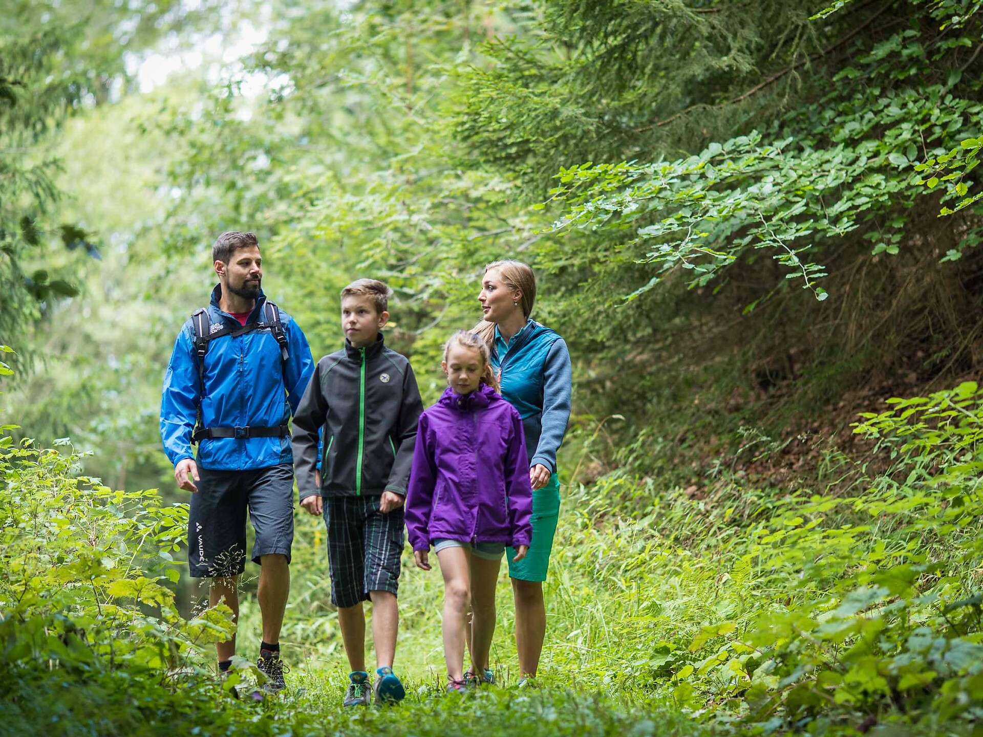 Hike through the forest