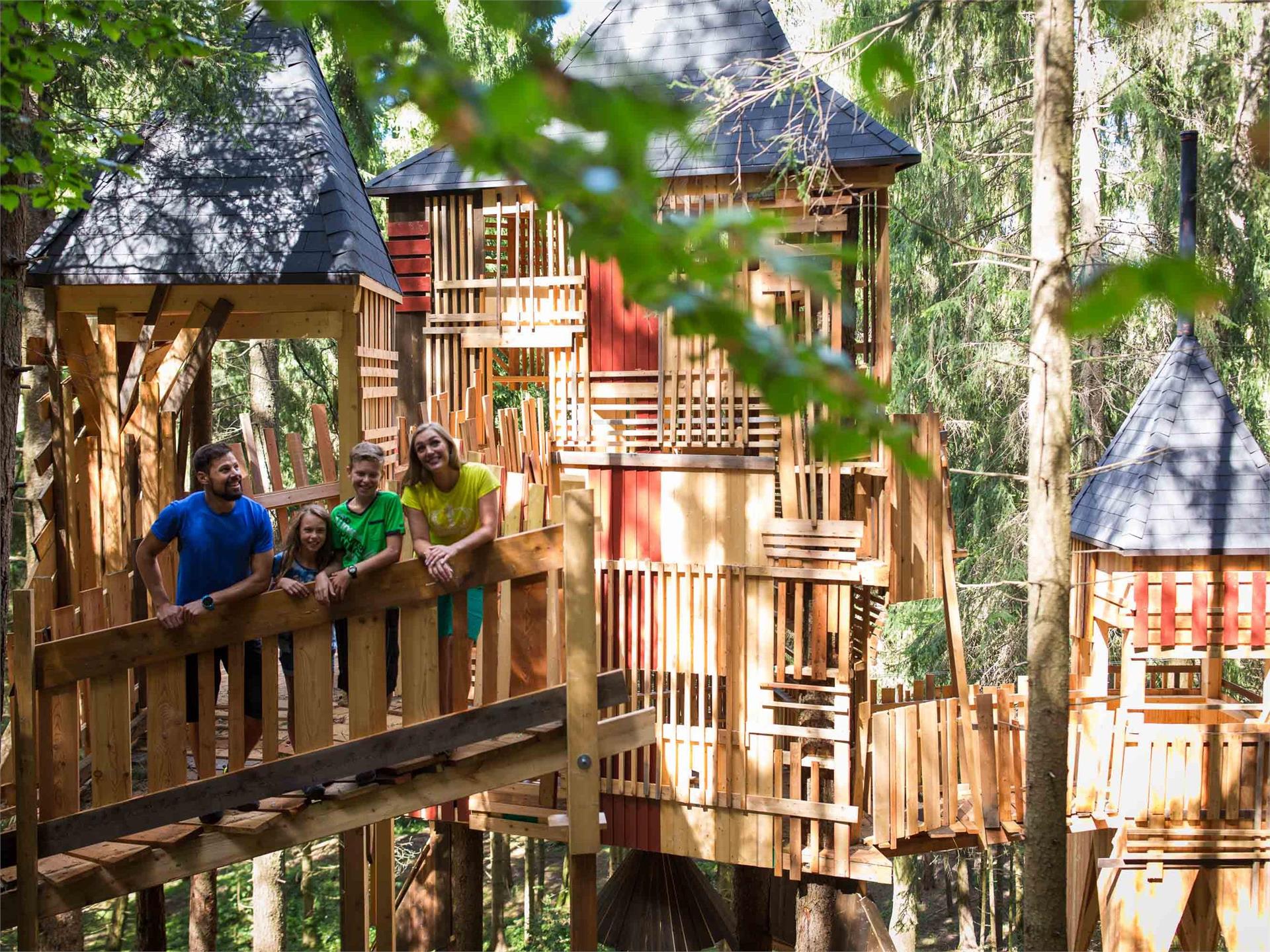 Sternendorf Rundwanderung Karneid 6 suedtirol.info