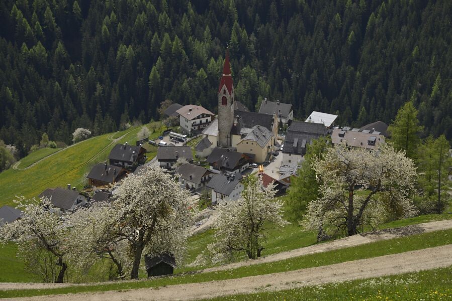 Spaziergang: Roda dles Viles - Weilerrundgang (A) San Vigilio 2 suedtirol.info