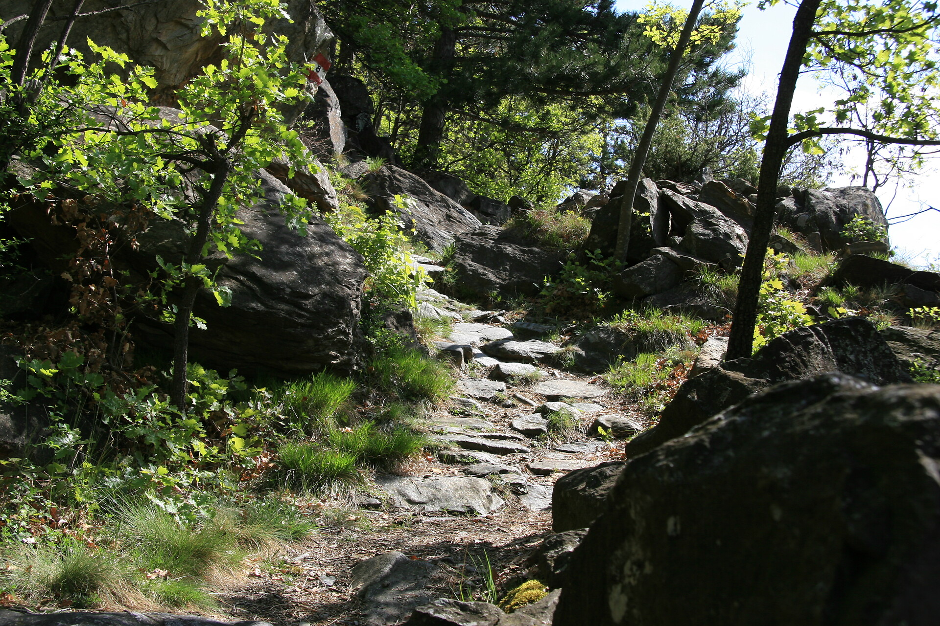Sunnenweg