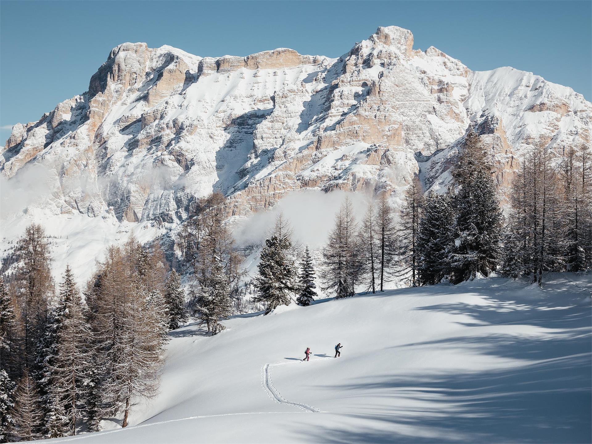 Discesa a neve fresca dal Valparola all'Armentarola Badia 3 suedtirol.info