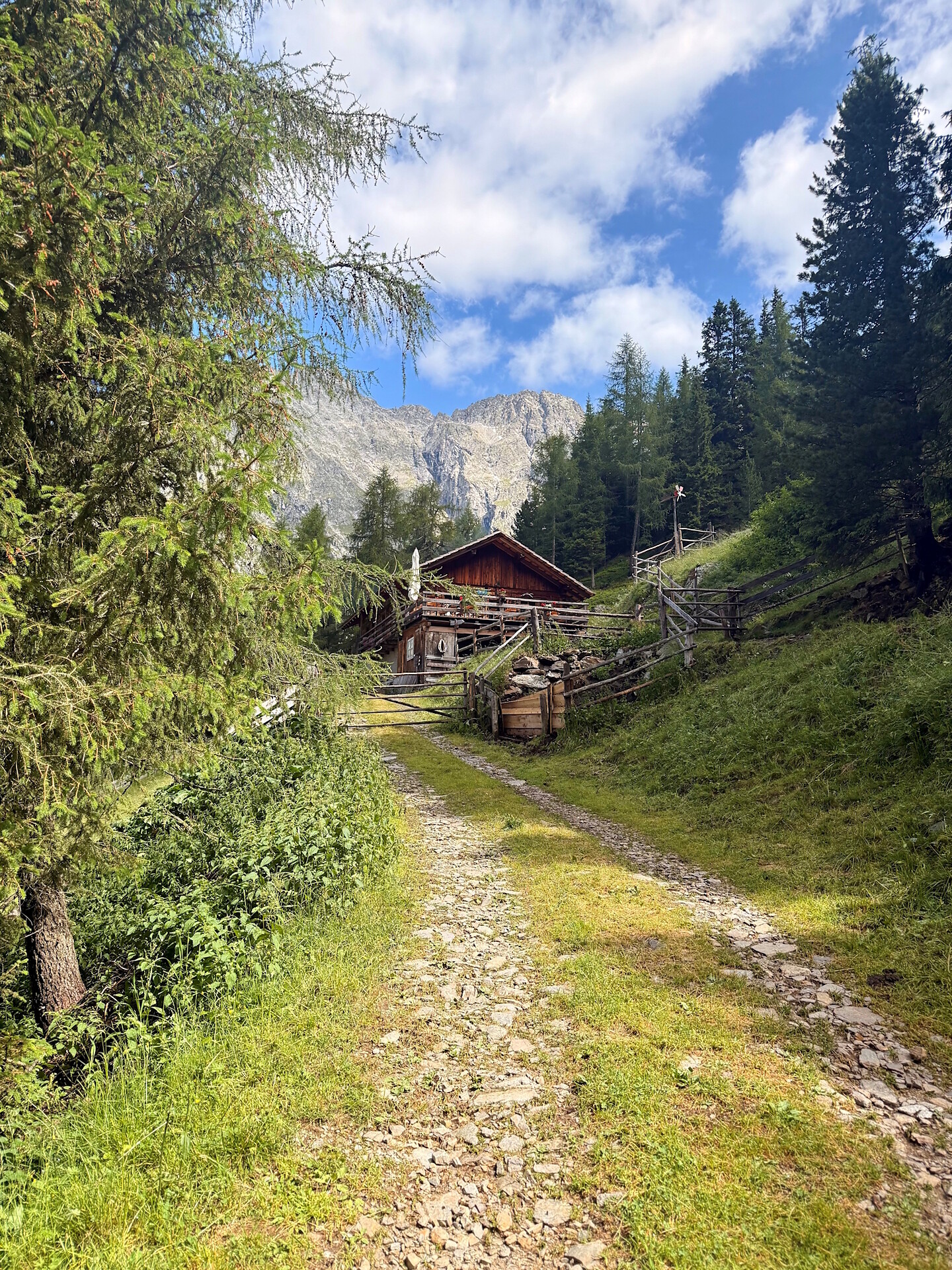 Steinzger Alm - Dolomitenregion Kronplatz - #2 - suedtirol.info