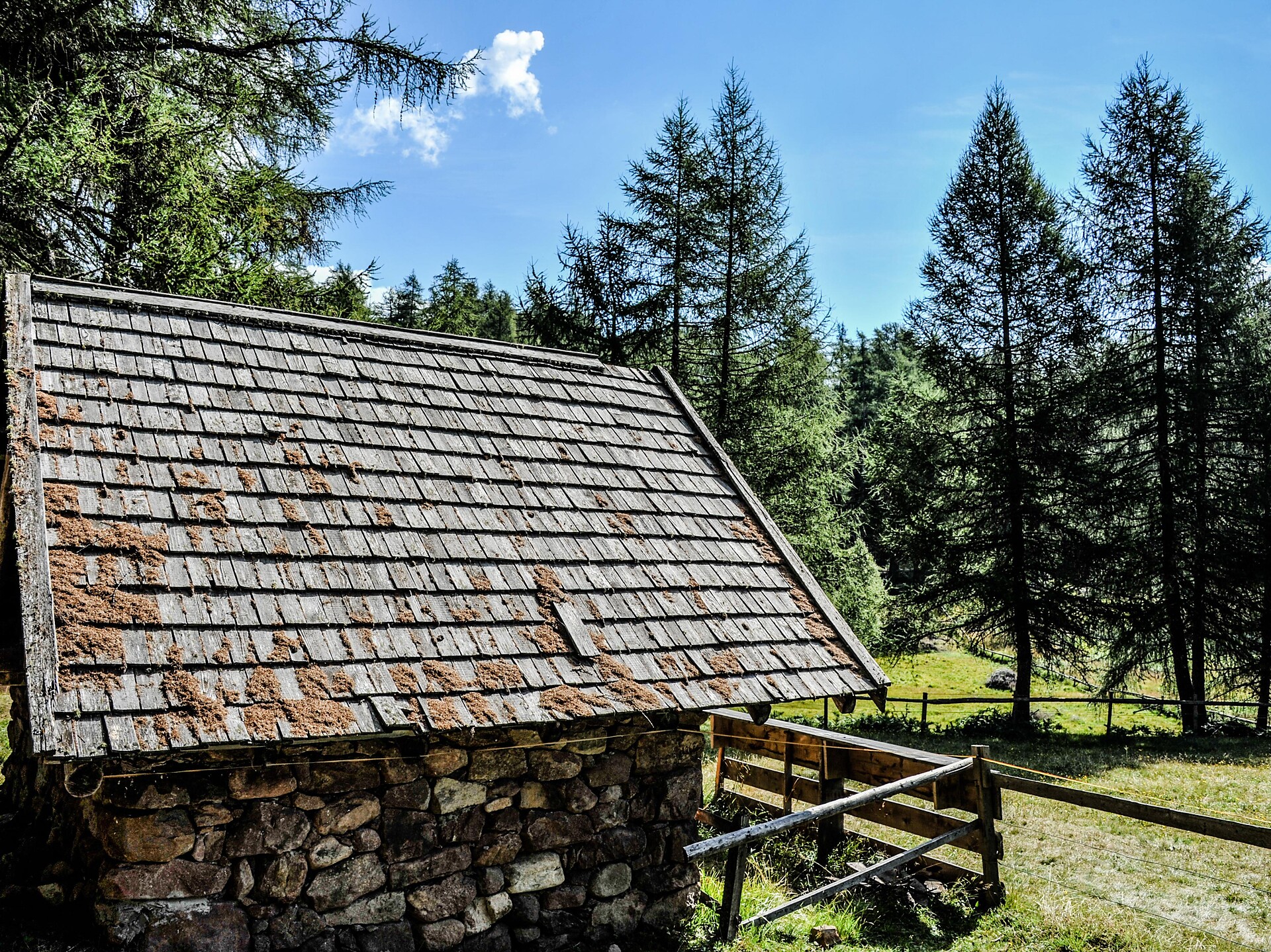 Ebnerrast Altrei