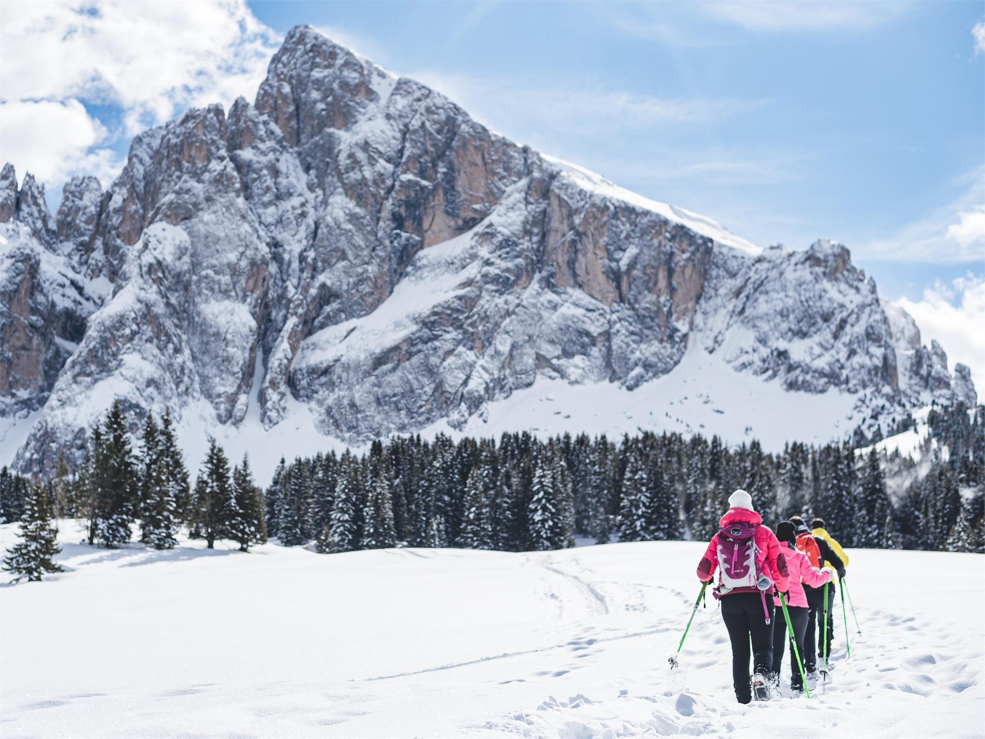 Escursione con le ciaspole ai piedi del Gruppo del Sassolungo Santa Cristina Val Gardena 2 suedtirol.info