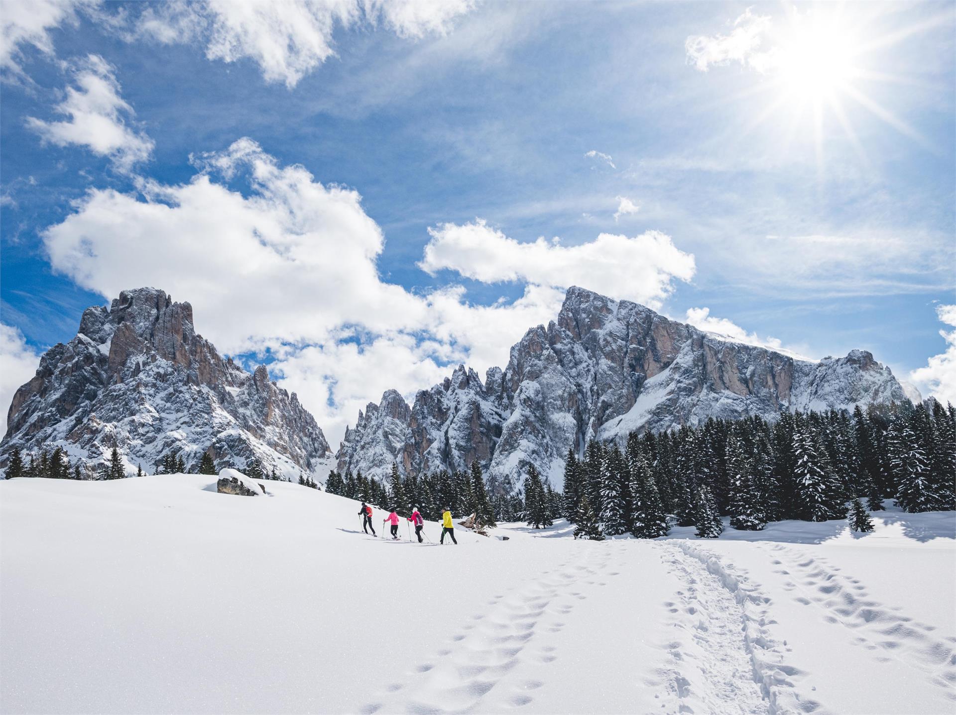 Escursione con le ciaspole ai piedi del Gruppo del Sassolungo Santa Cristina Val Gardena 5 suedtirol.info