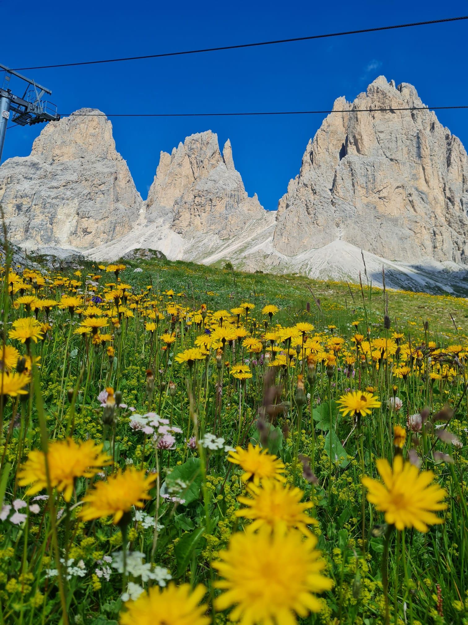 Sellaronda Hike Tour S.Crestina Gherdëina/Santa Cristina Val Gardana 5 suedtirol.info
