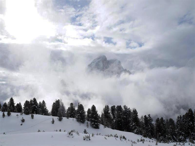 Schneeschuhwanderung von Alfarëi zum Col da Lè San Martin 1 suedtirol.info