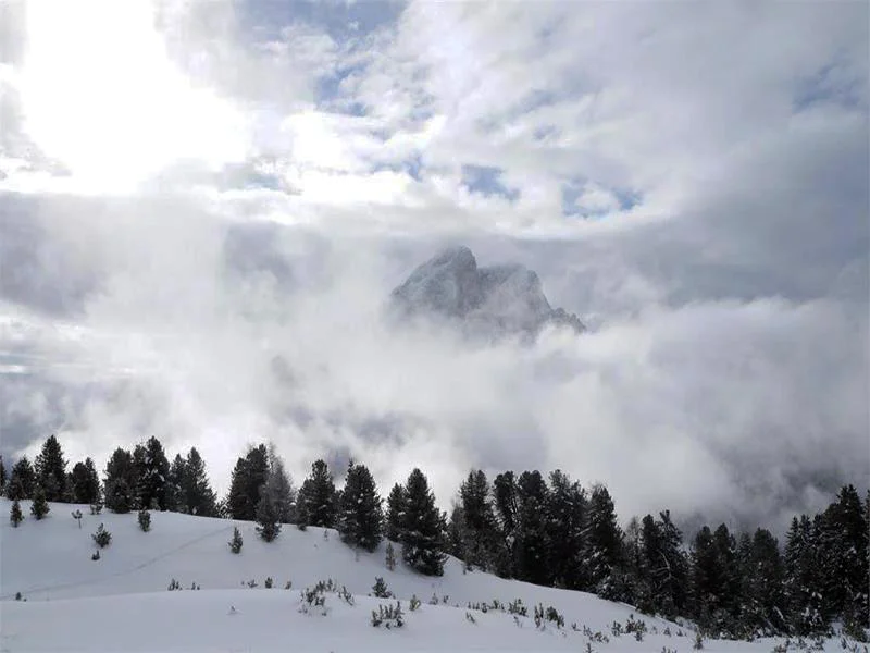 Snow shoe hike from Alfarëi to Col da Lè San Martin /San Martino 1 suedtirol.info