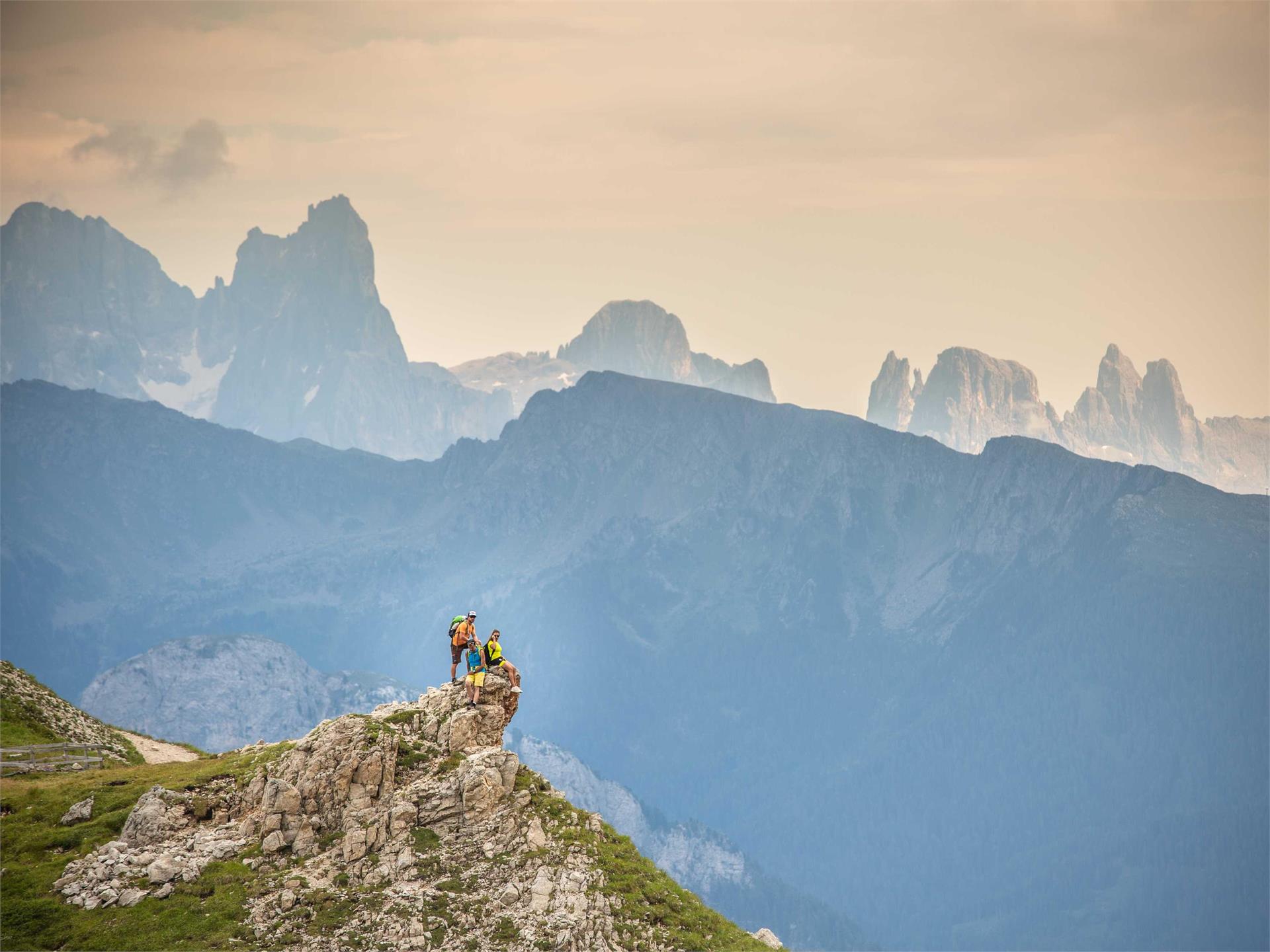 Vial de le Feide (sheep path) Welschnofen/Nova Levante 1 suedtirol.info