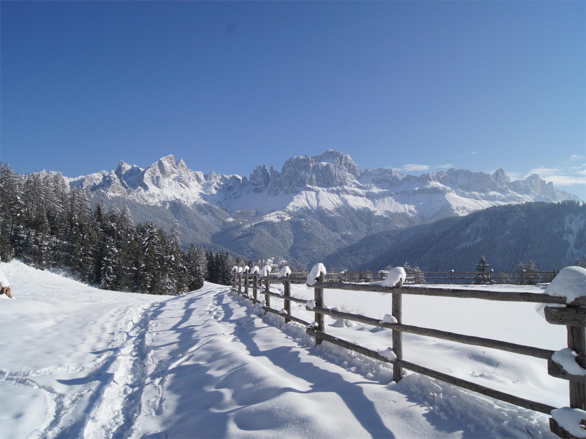 Schneeschuhwanderung zum Wuhnleger und zur St. Sebastian Kapelle Tiers am Rosengarten 3 suedtirol.info