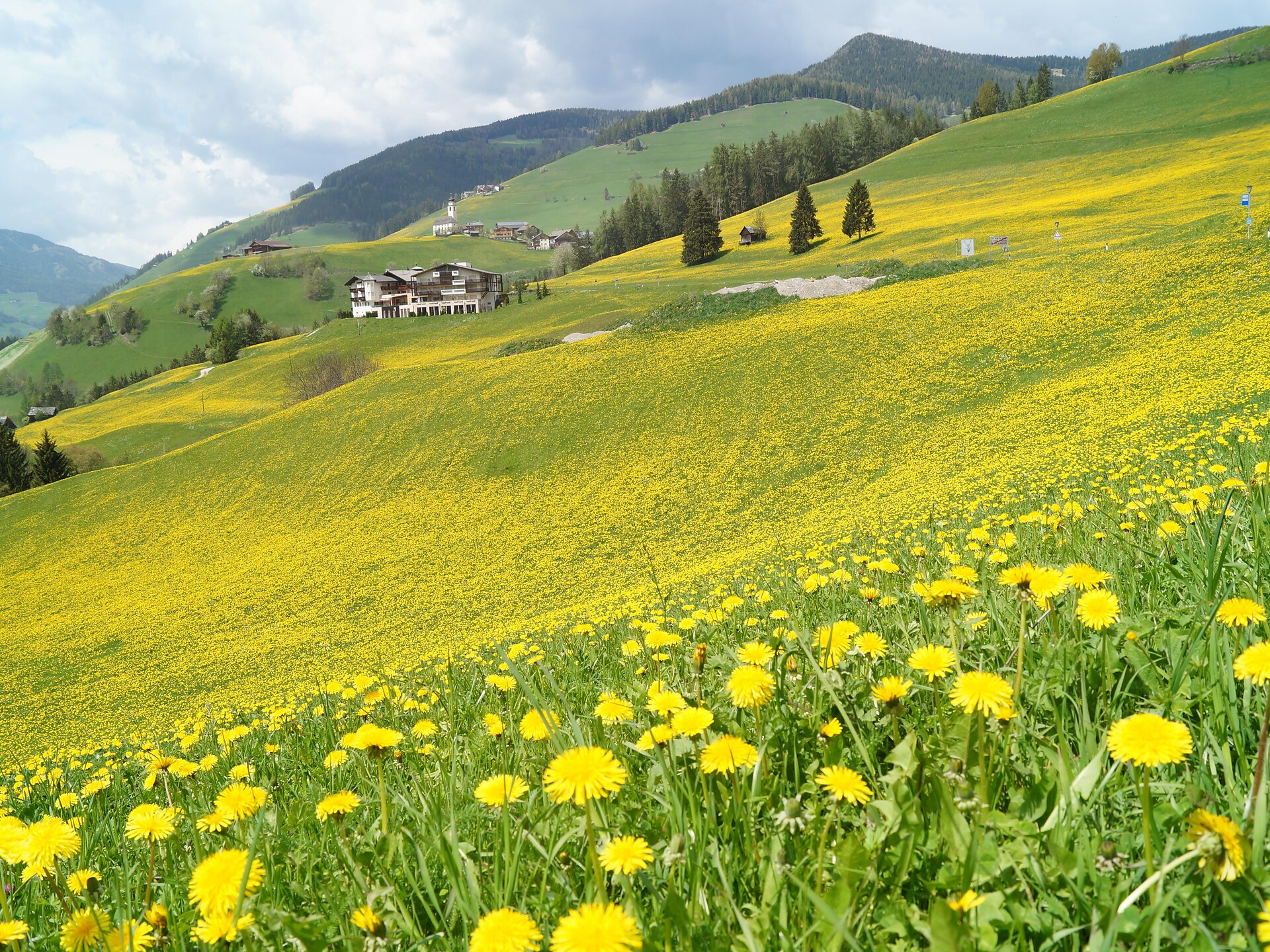Passeggiata: San Vigilio - Ciasè - Regione dolomitica Plan de Corones - #1 - suedtirol.info