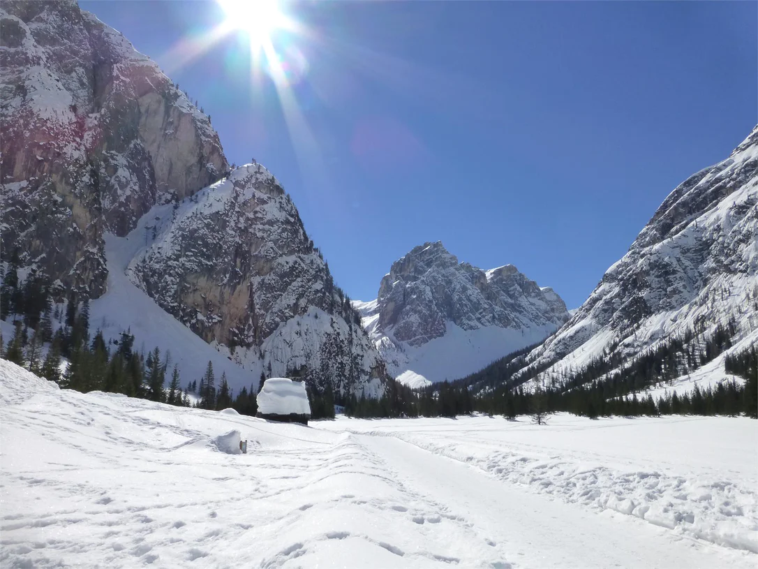 Ciaspolata: Val Campo di Dentro