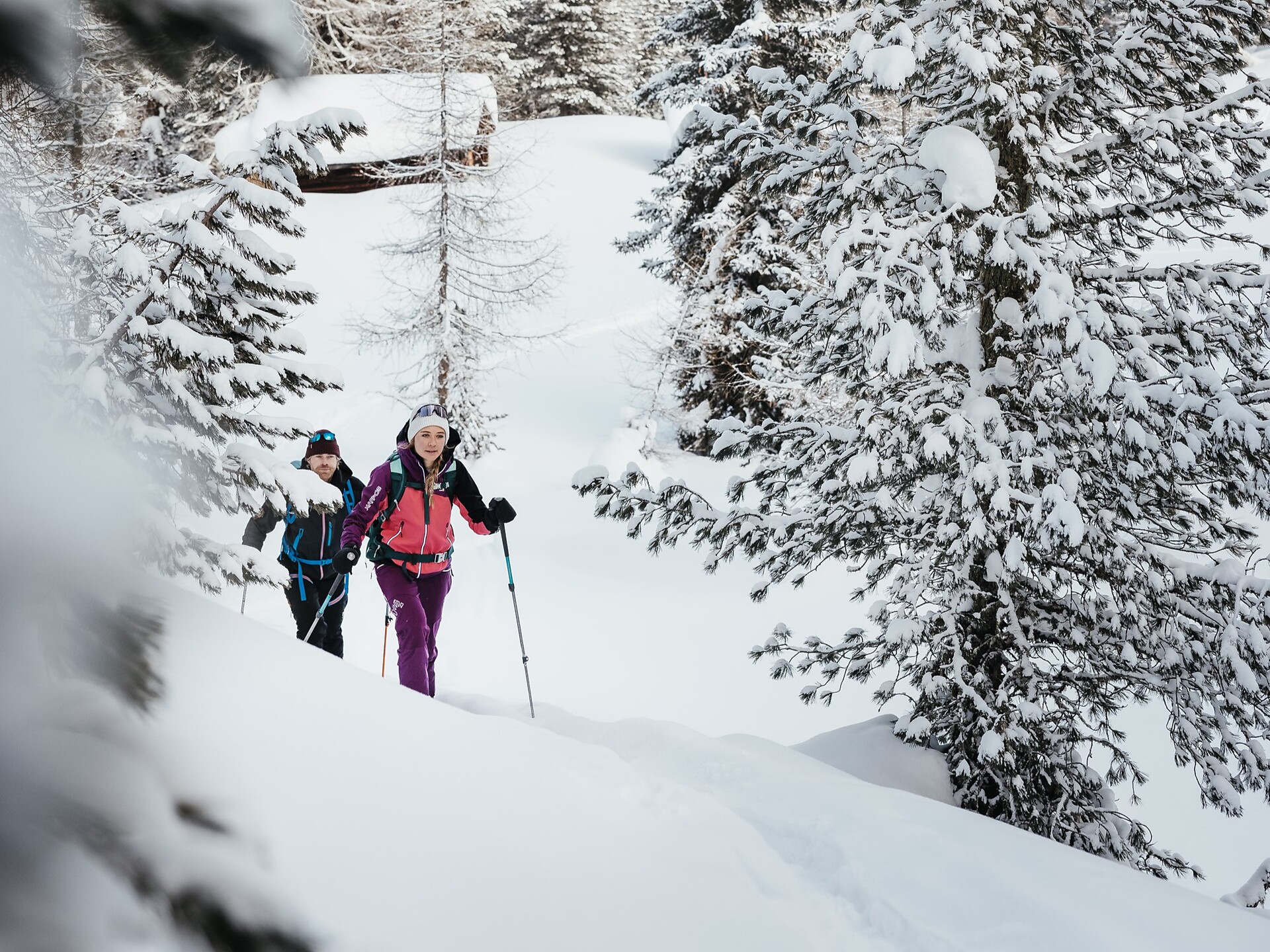 Snowshoe hike through the Armentarola/Saré meadows Badia 1 suedtirol.info