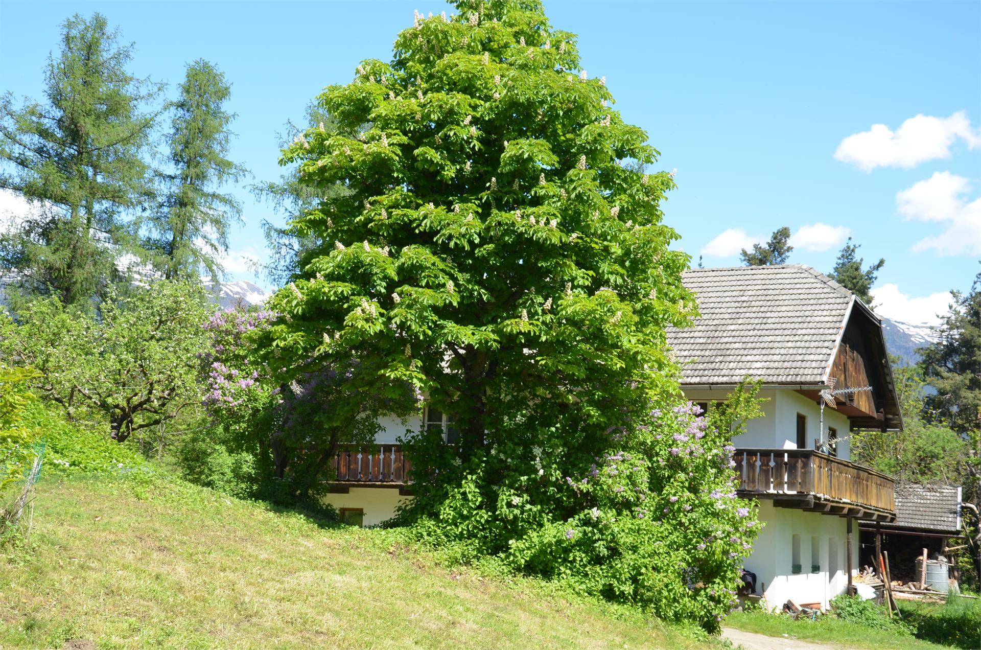 Tales and stories of Mount Kienberg Kiens/Chienes 3 suedtirol.info