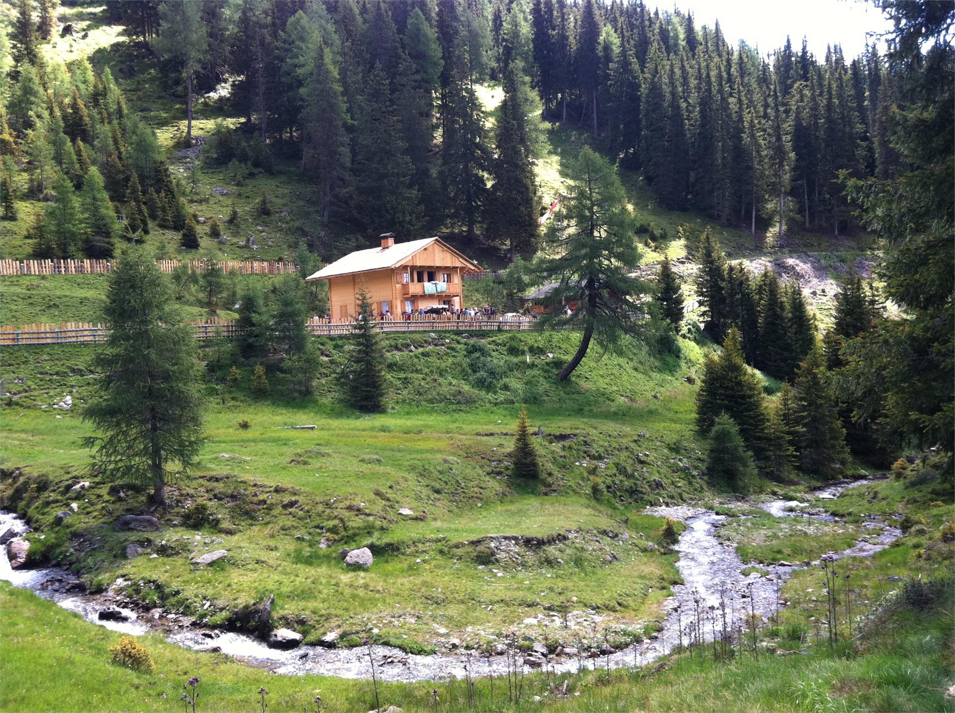 Escursione estiva: Malga San Silvestro e Cappella di San Silvestro San Candido 1 suedtirol.info