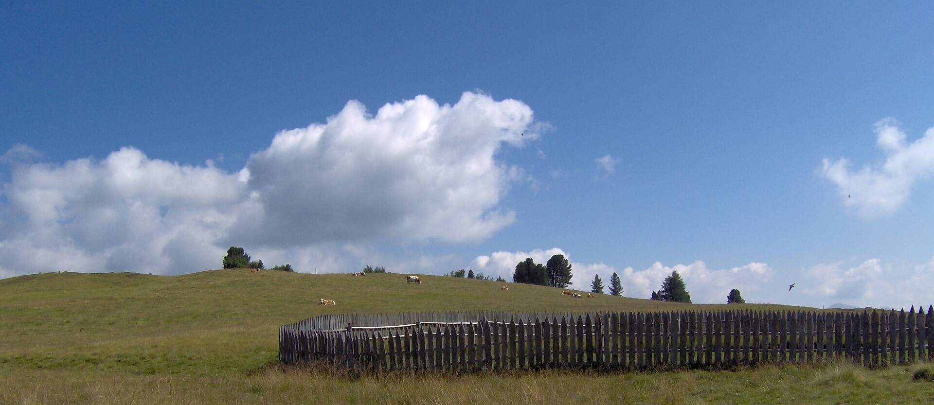 Passo delle Erbe