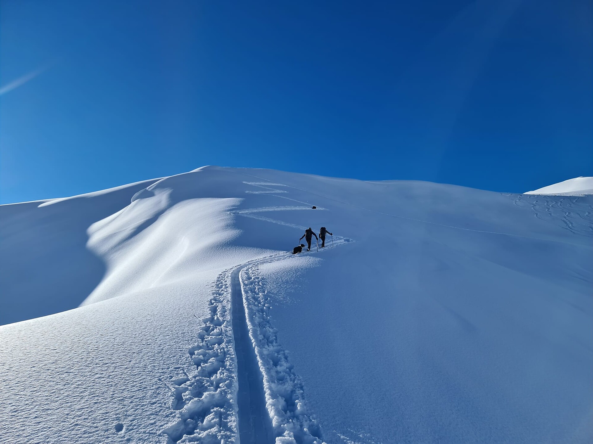 Ski tour from Racines to the Zunderspitz summit (2381 m) - Sterzing/Vipiteno and environs - #1 - suedtirol.info
