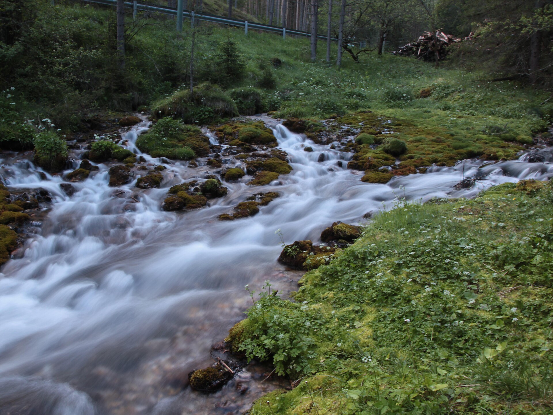 Water