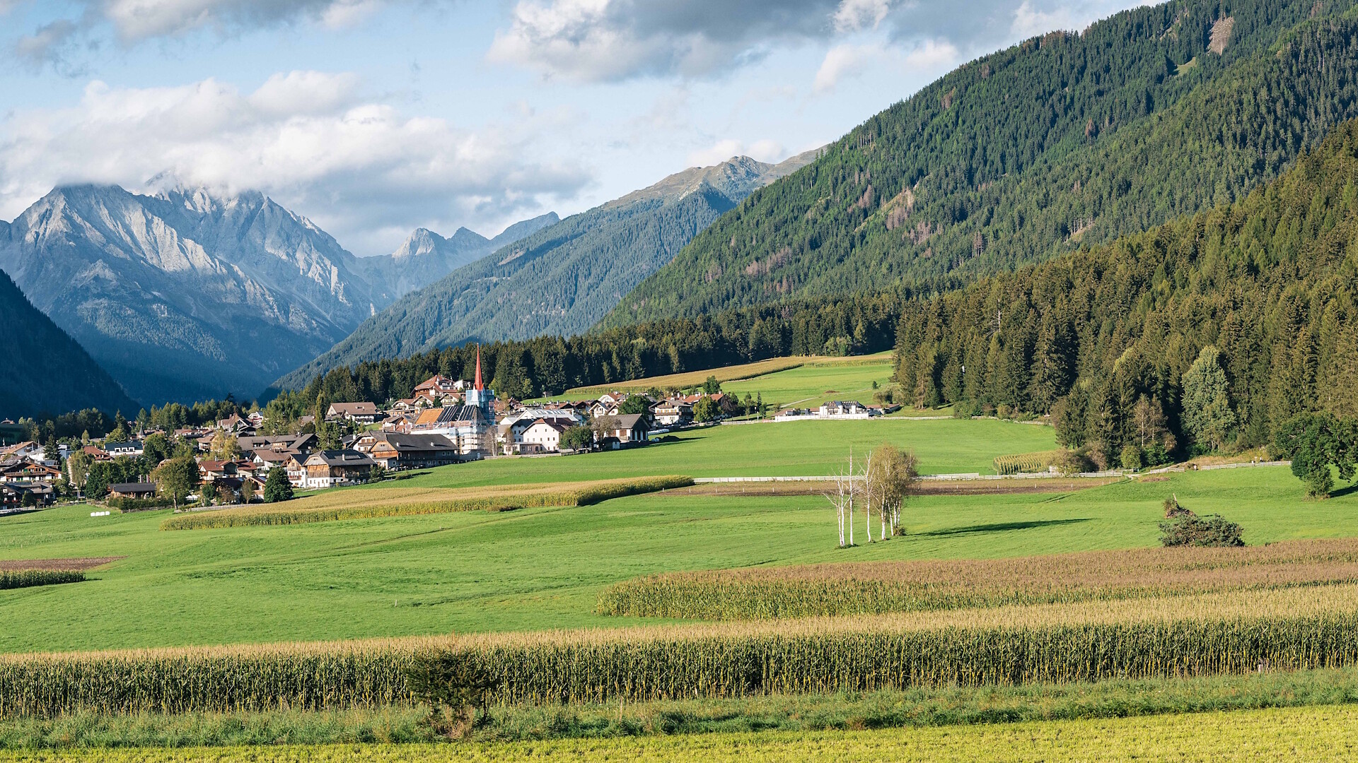 Passeggiata alla "Goste" (Valdaora di Sopra) - Regione dolomitica Plan de Corones - #3 - suedtirol.info