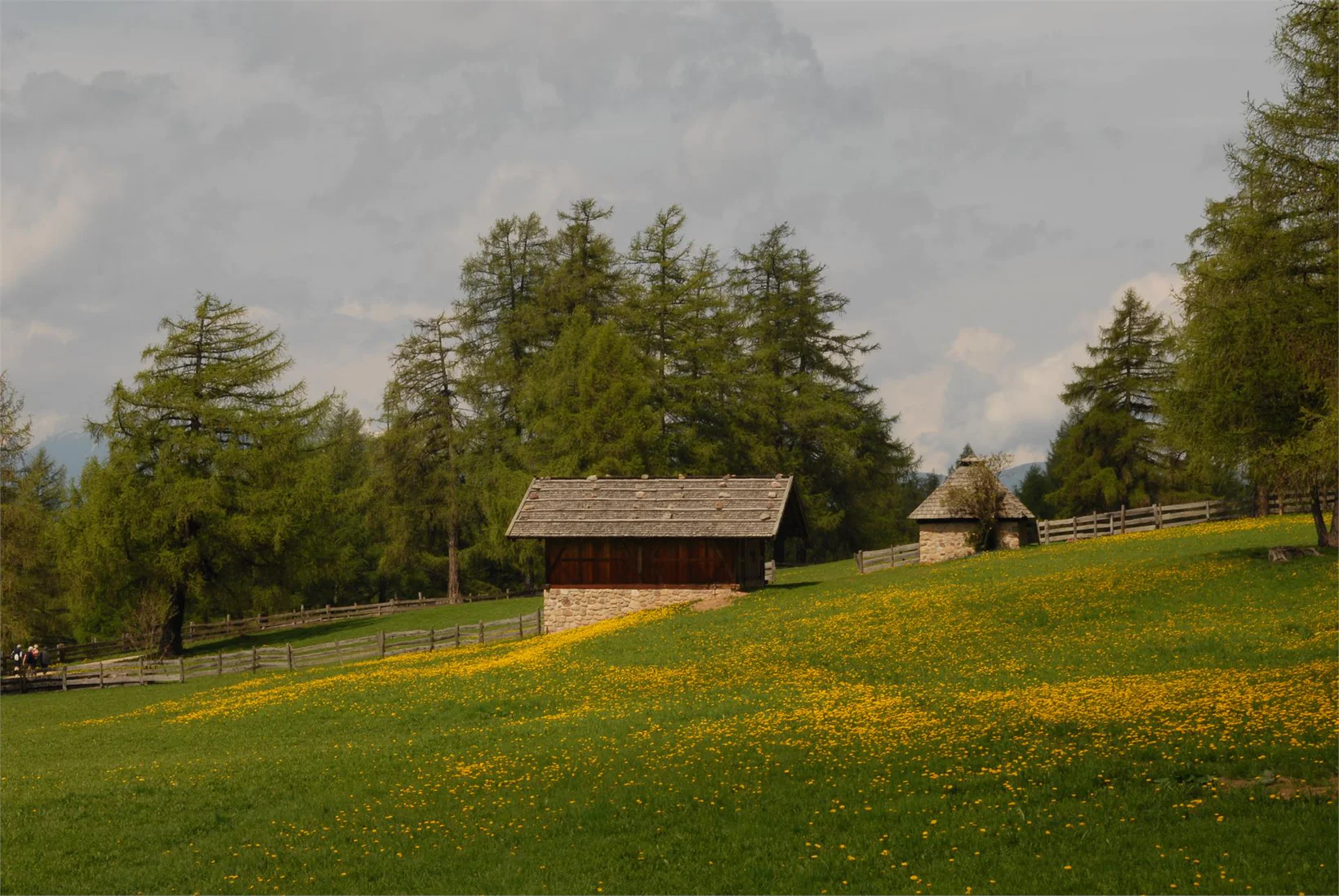 Slide 3