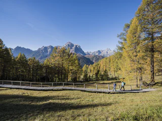 Spazierweg:  Gasthof Panorama – Helmhanghütte - Sexten - #1 - suedtirol.info