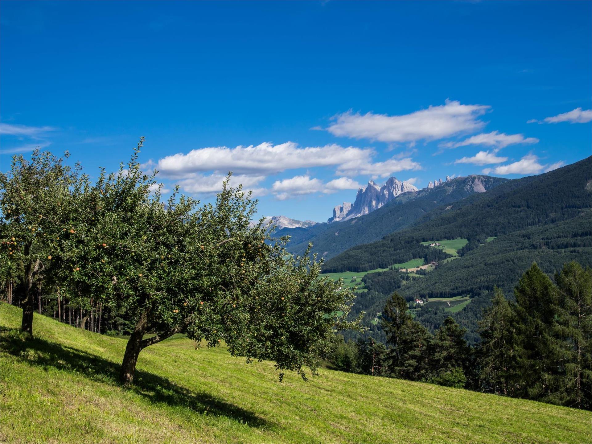 Hotel Sambergerhof  – Alp of Villanders – Hotel Sambergerhof Villanders/Villandro 1 suedtirol.info