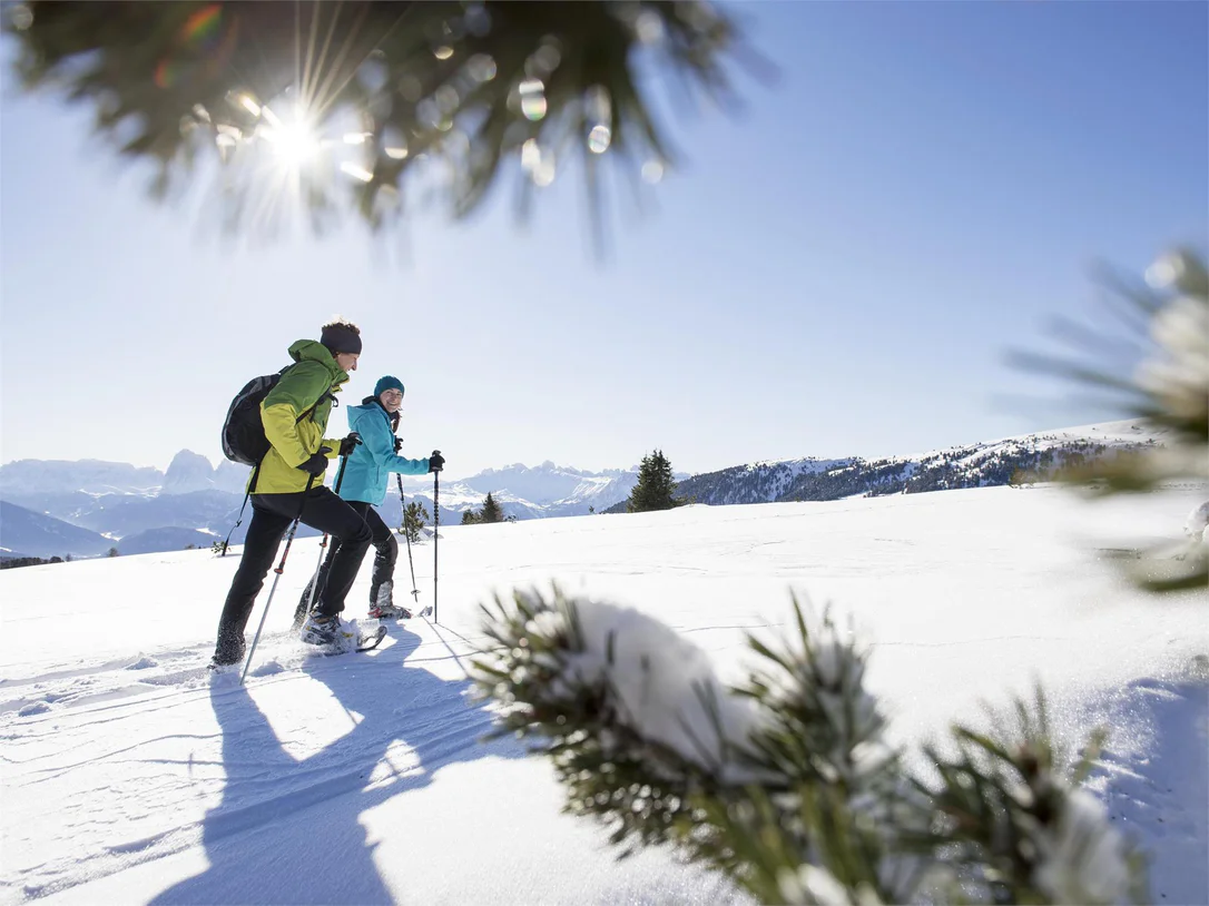 Snowshoe walk from the Villanderer Alm to the Rittner Horn