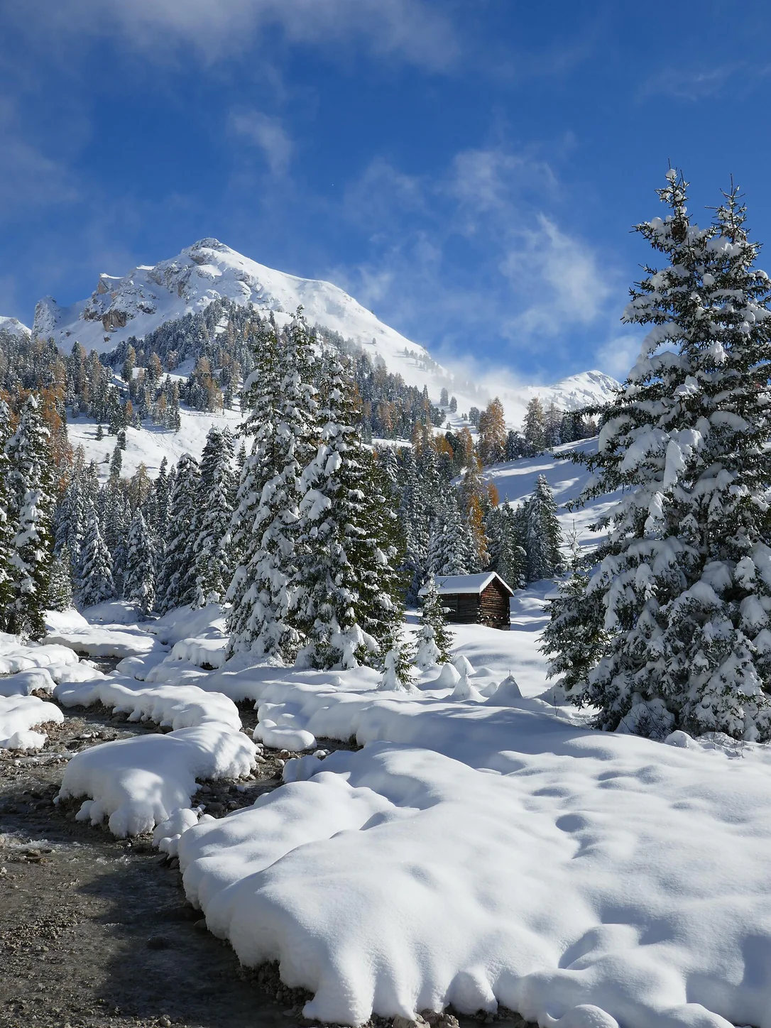 Snowshoe Hiking Col di Poma/Zendleser Kofel
