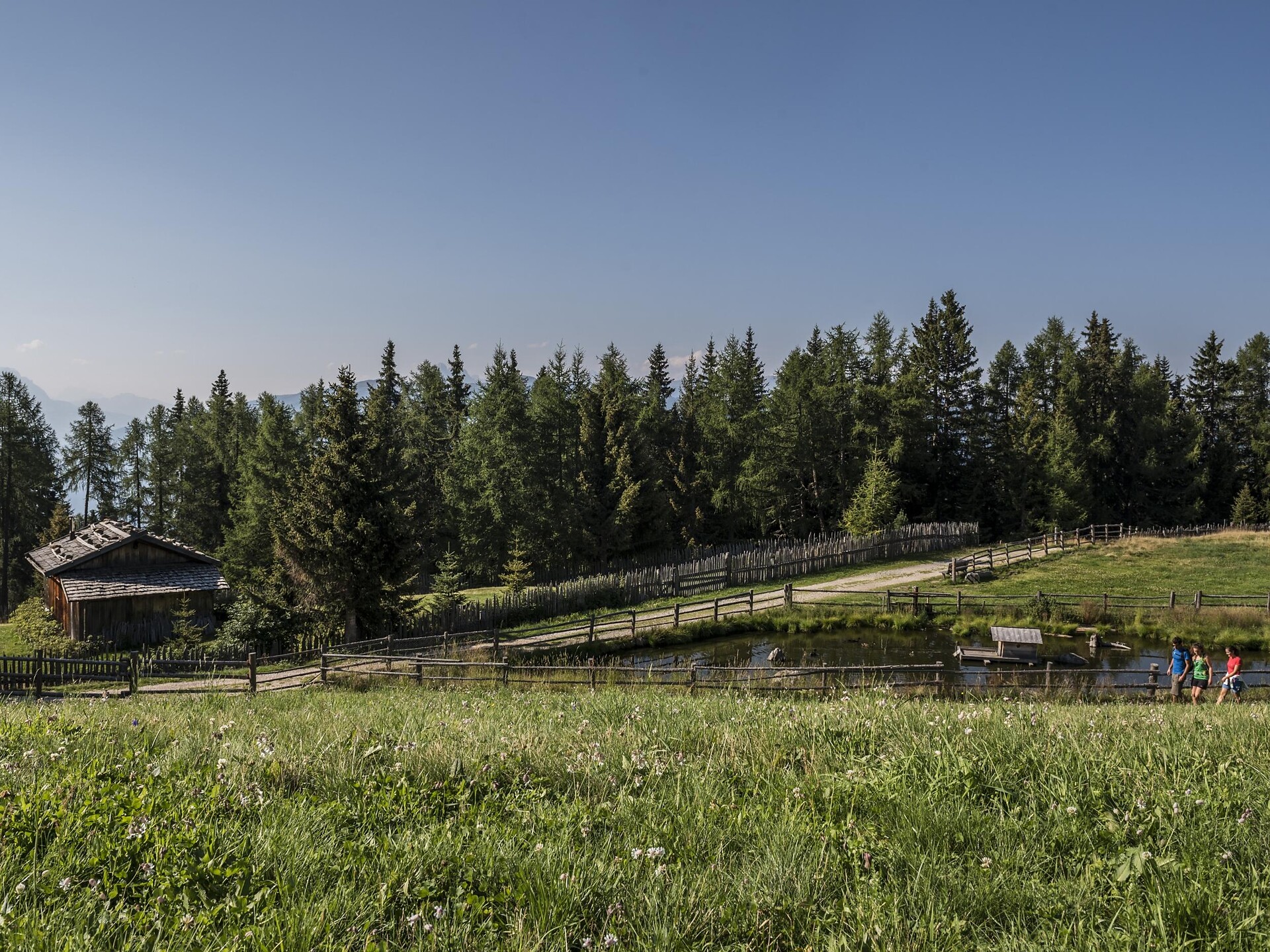 Pertinger Alm hut