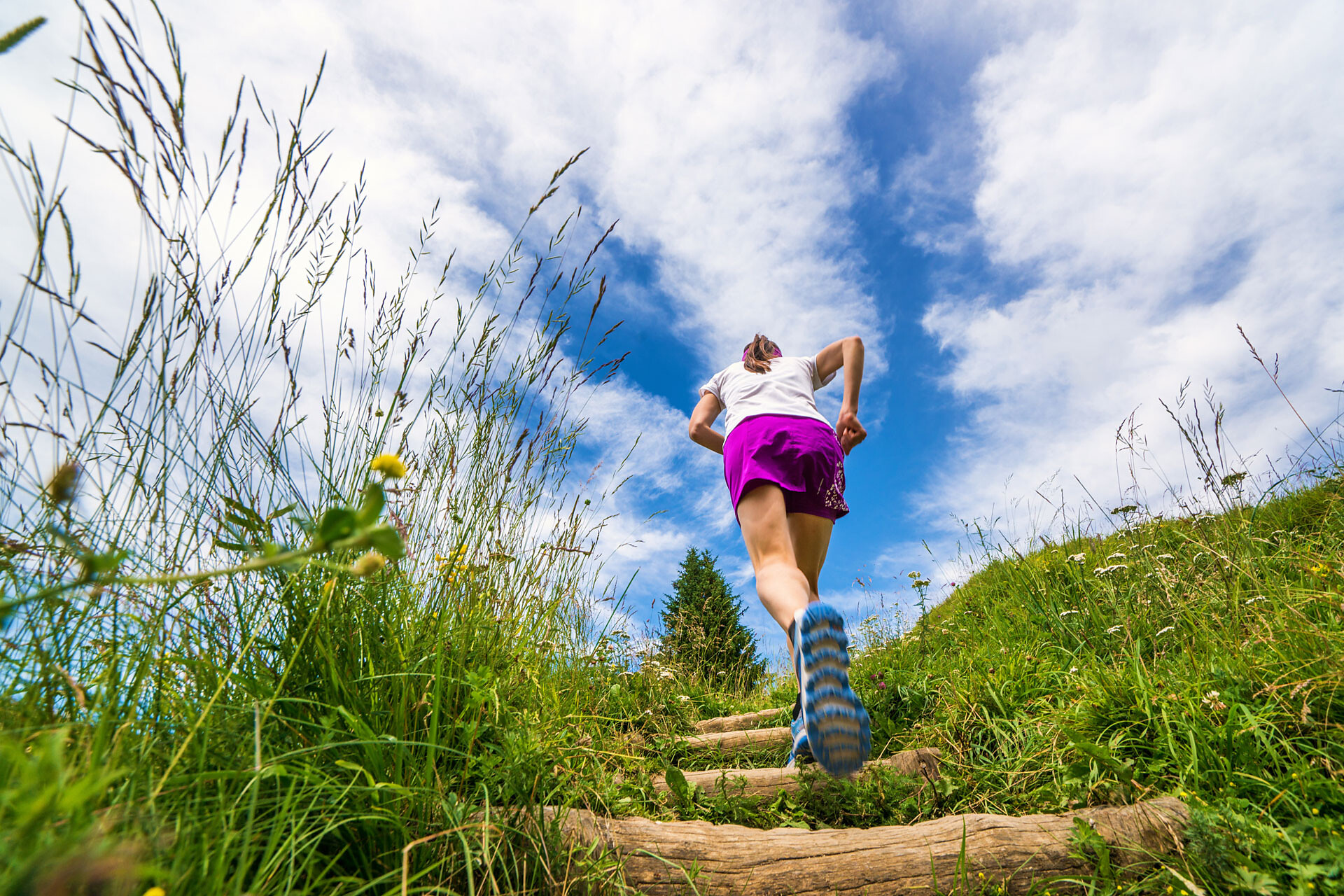 Saltria Trail