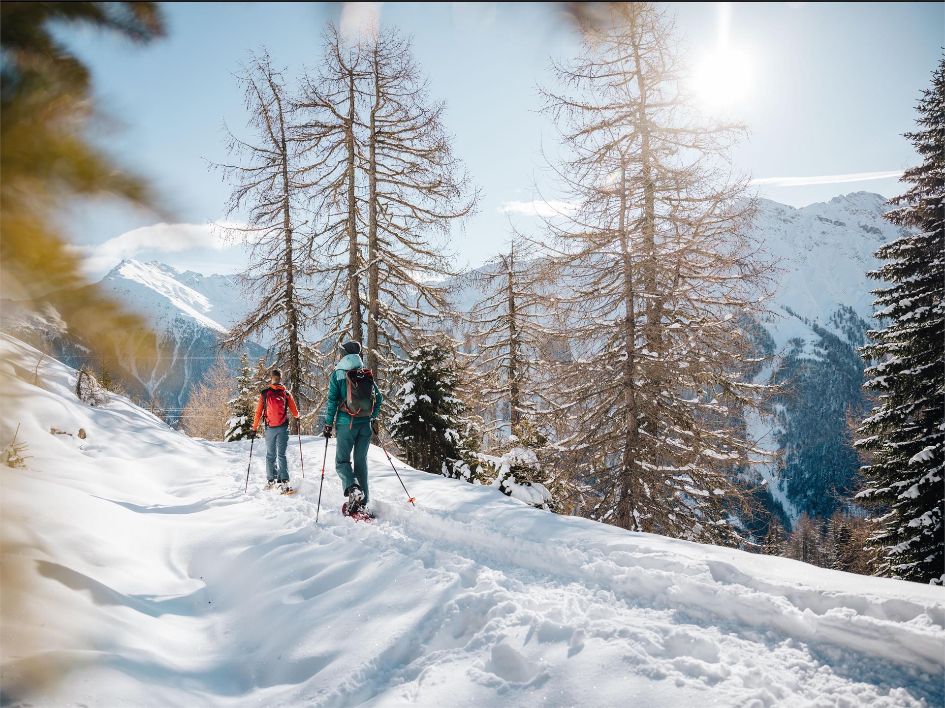 Snowshoe hike South Tyrol Strawberry Trail Martell/Martello 1 suedtirol.info