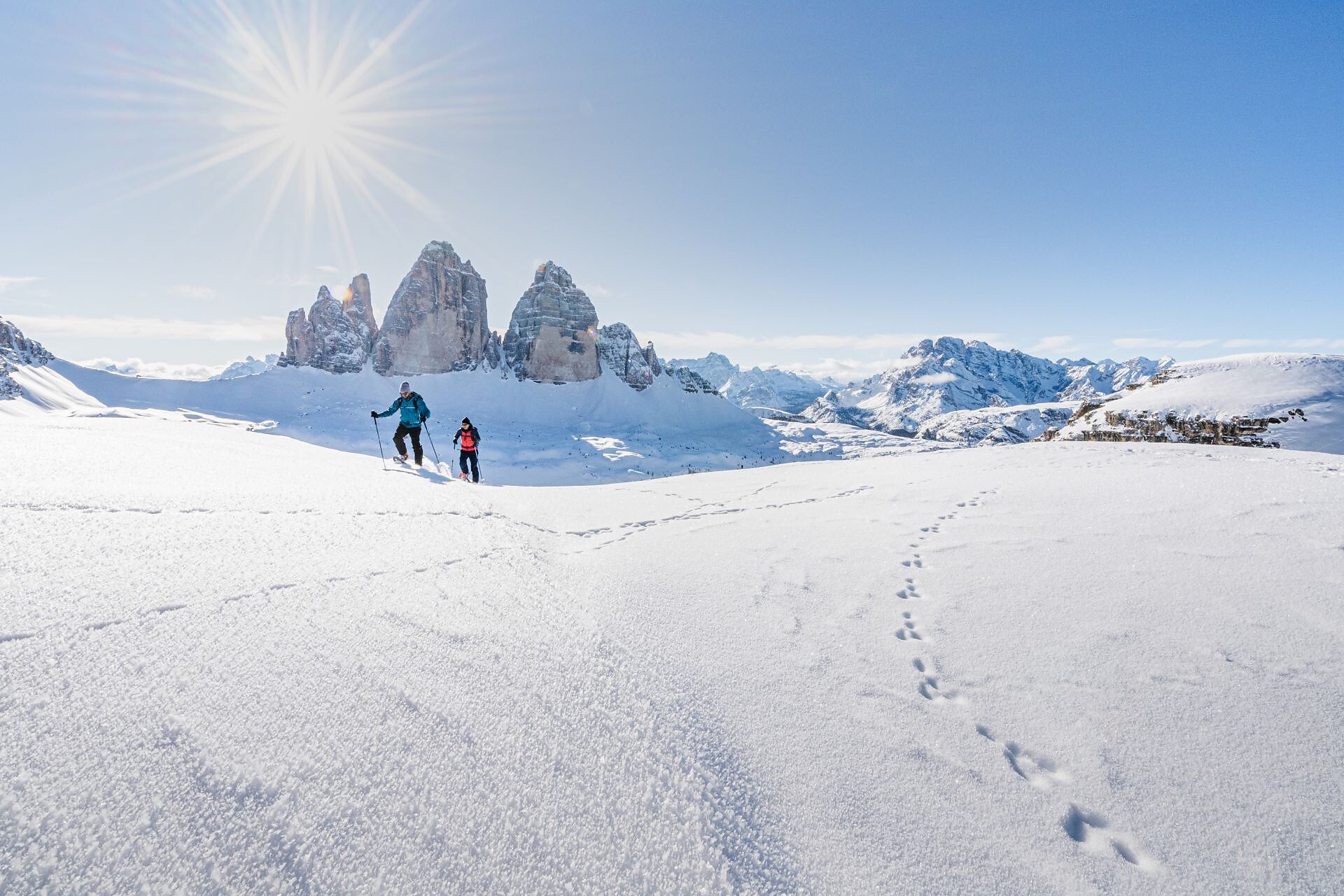 Ski tour: Sextner Stein/ Sasso di Sesto - Dolomites Region 3 Zinnen - #1 - suedtirol.info
