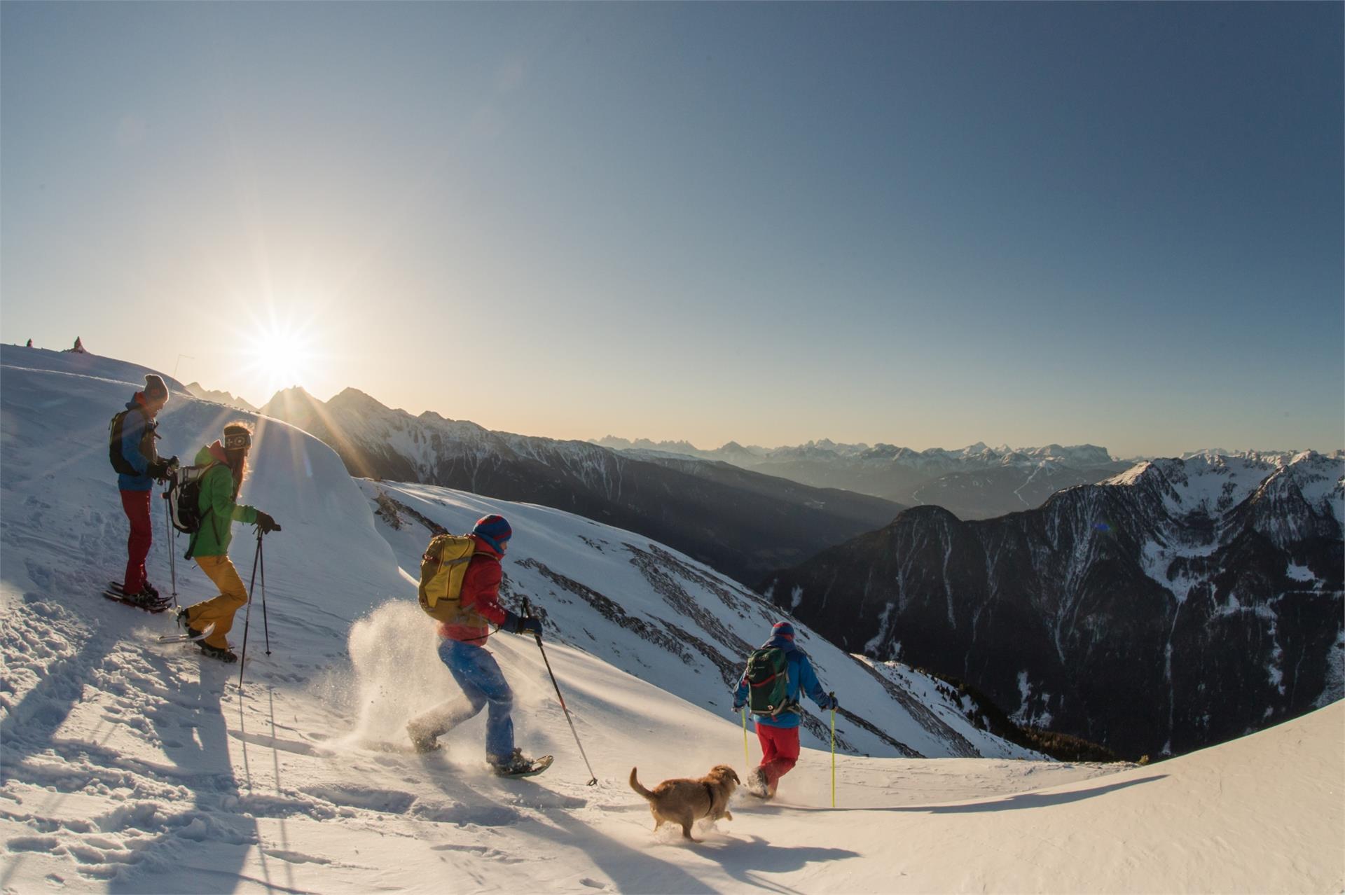 Snowshoe hike | Pine trail Sand in Taufers/Campo Tures 1 suedtirol.info
