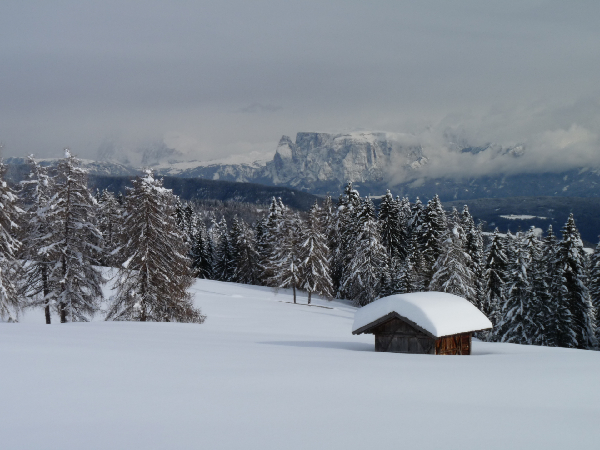 Excursion with snowshoes: Schermoos - Möltner Joch Mölten/Meltina 1 suedtirol.info