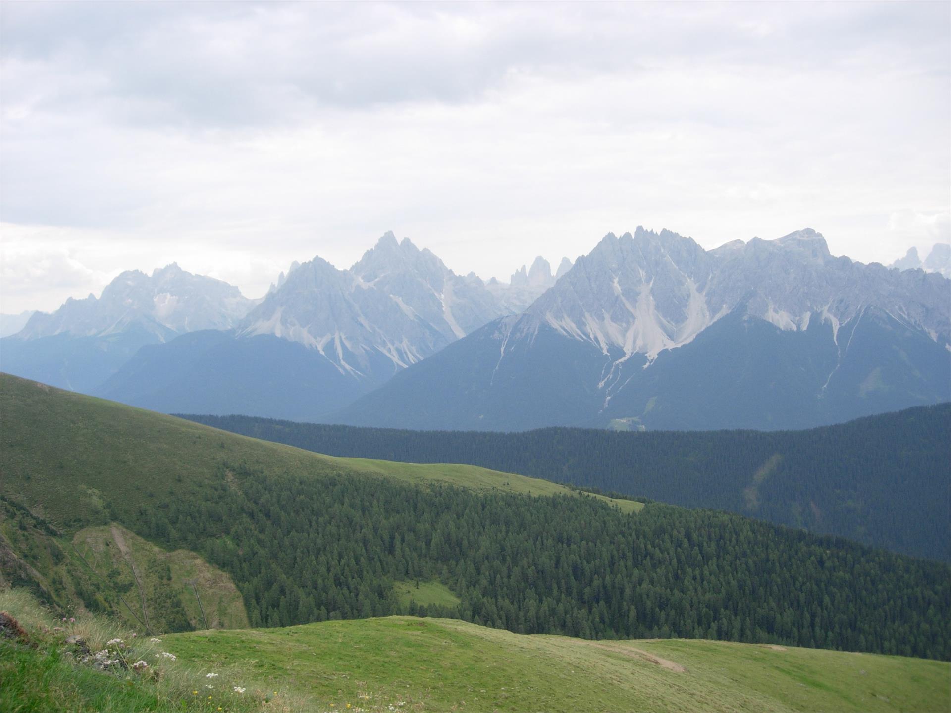 Summer hiking tour: Kandellen/Gandelle - Pfannhorn/Corno Fana Toblach/Dobbiaco 2 suedtirol.info